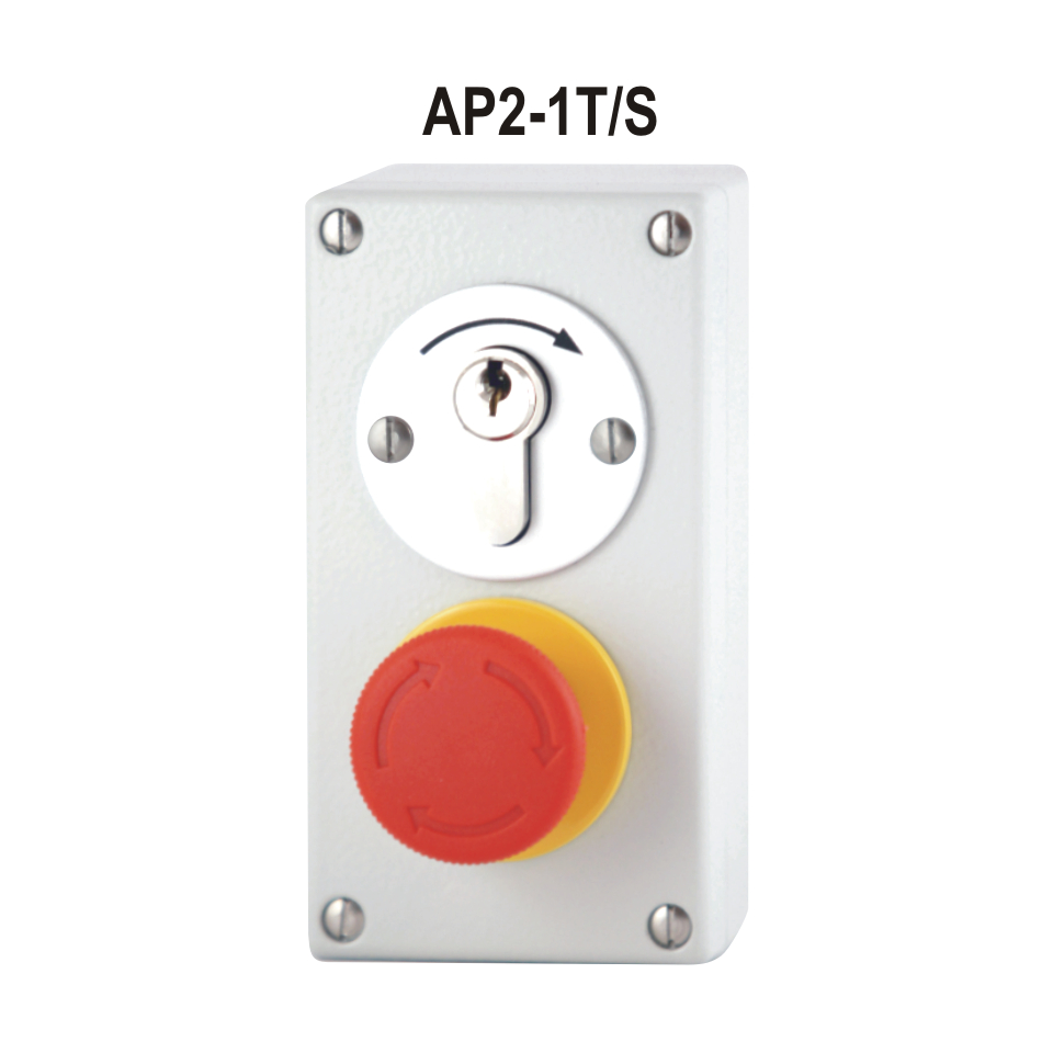 Art. Nr. TYP FUNKTION SYMBOL 020001 AP2-1T 1seitiger Tast → 020003 AP2-2T 2seitiger Tast ↓↑ 020002 AP2-1R 1seitiger Rast 0 - I 020190 AP2-2R 2seitiger Rast ↓↑ 020004 AP2-2TL Tast - Rast ↓↑ 020168 AP2-2T/S 2seitiger Tast ↓↑