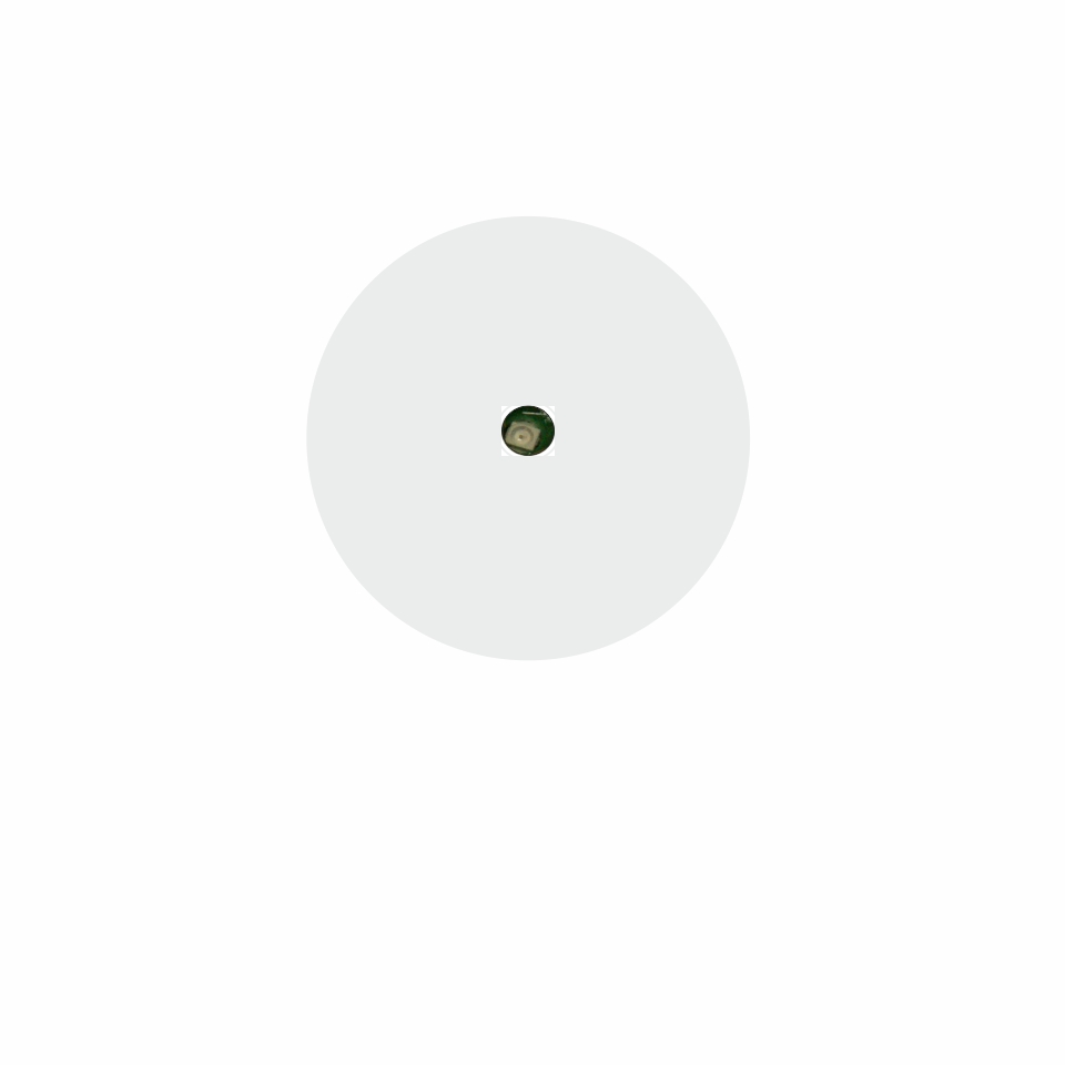 Radiofrequenz Identifikation SYSTEME. RFI. Karten. Schlüssel