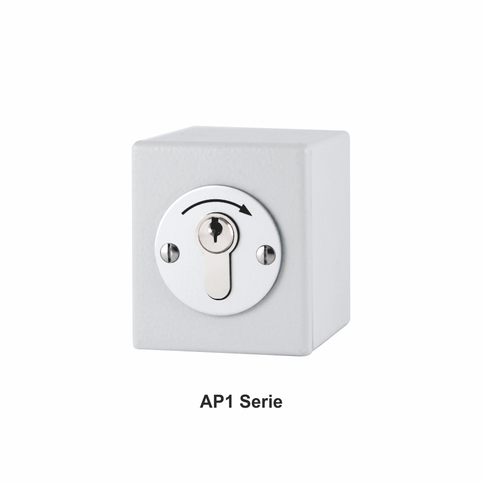 Sicherheits Schlüsselschalter schlüsseltaster