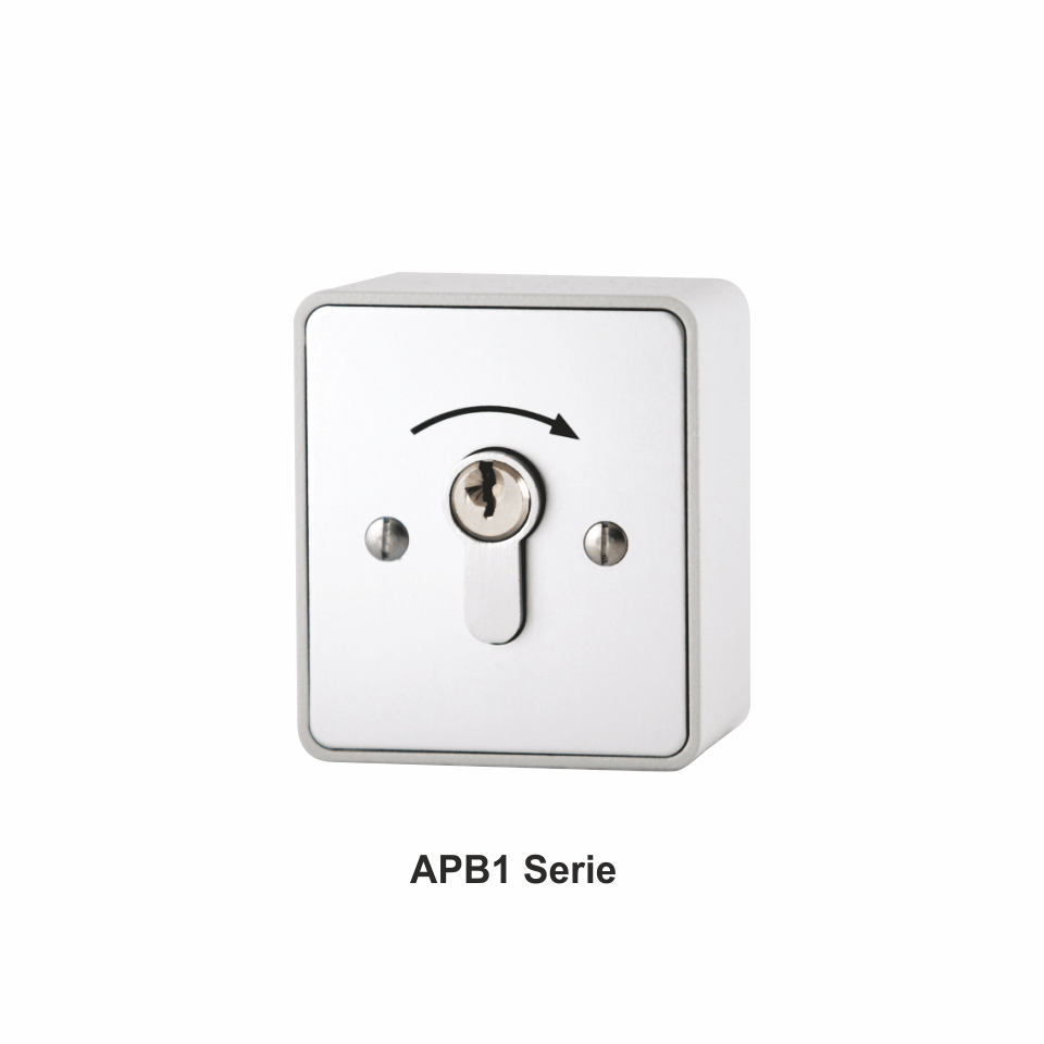 Sicherheits Schlüsselschalter schlüsseltaster